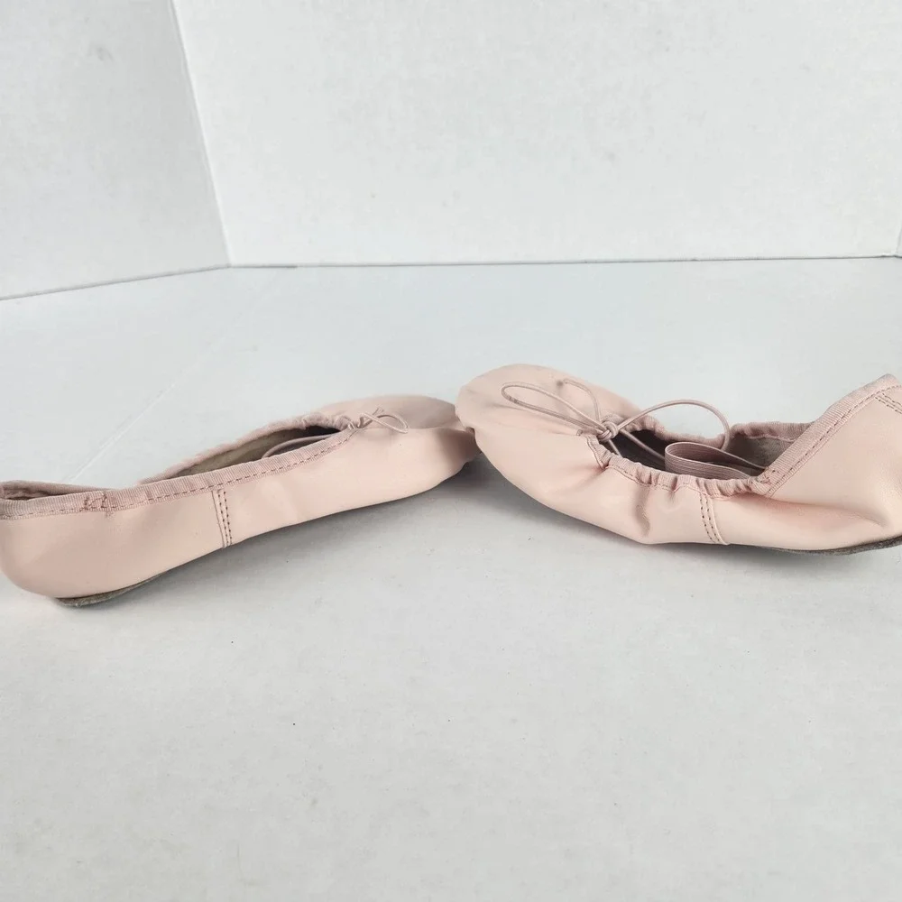 Danskin ballet slippers